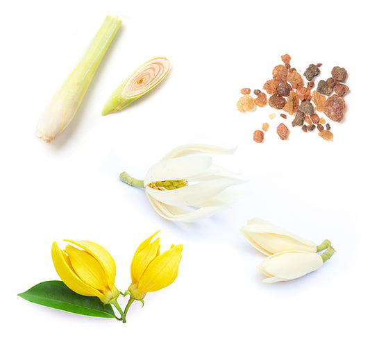 Doterra sun ásványi fényvédő krém arcra és testre alapanyagai