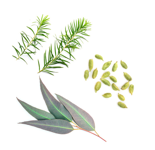 air whats inside 1085x1050 eu