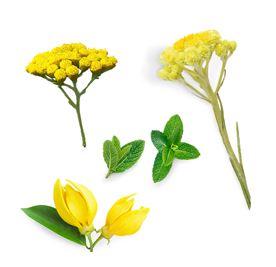 Doterra deep blue rub enyhito krem minta mi van benne