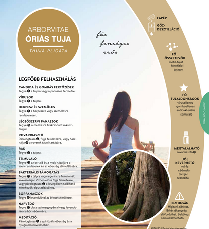 esszencialis elet betekinto