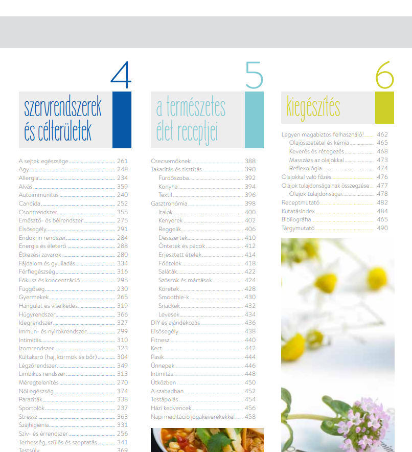 esszencialis elet betekinto