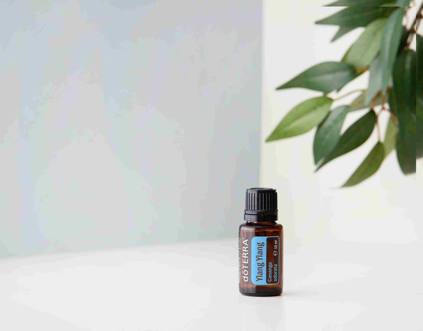 Doterra - Ylang ylang