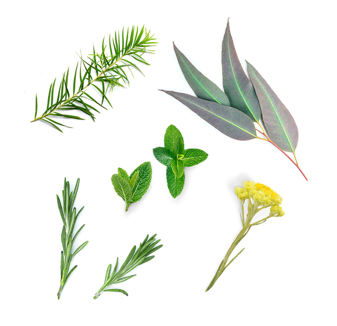 Doterra deep blue mi van benne