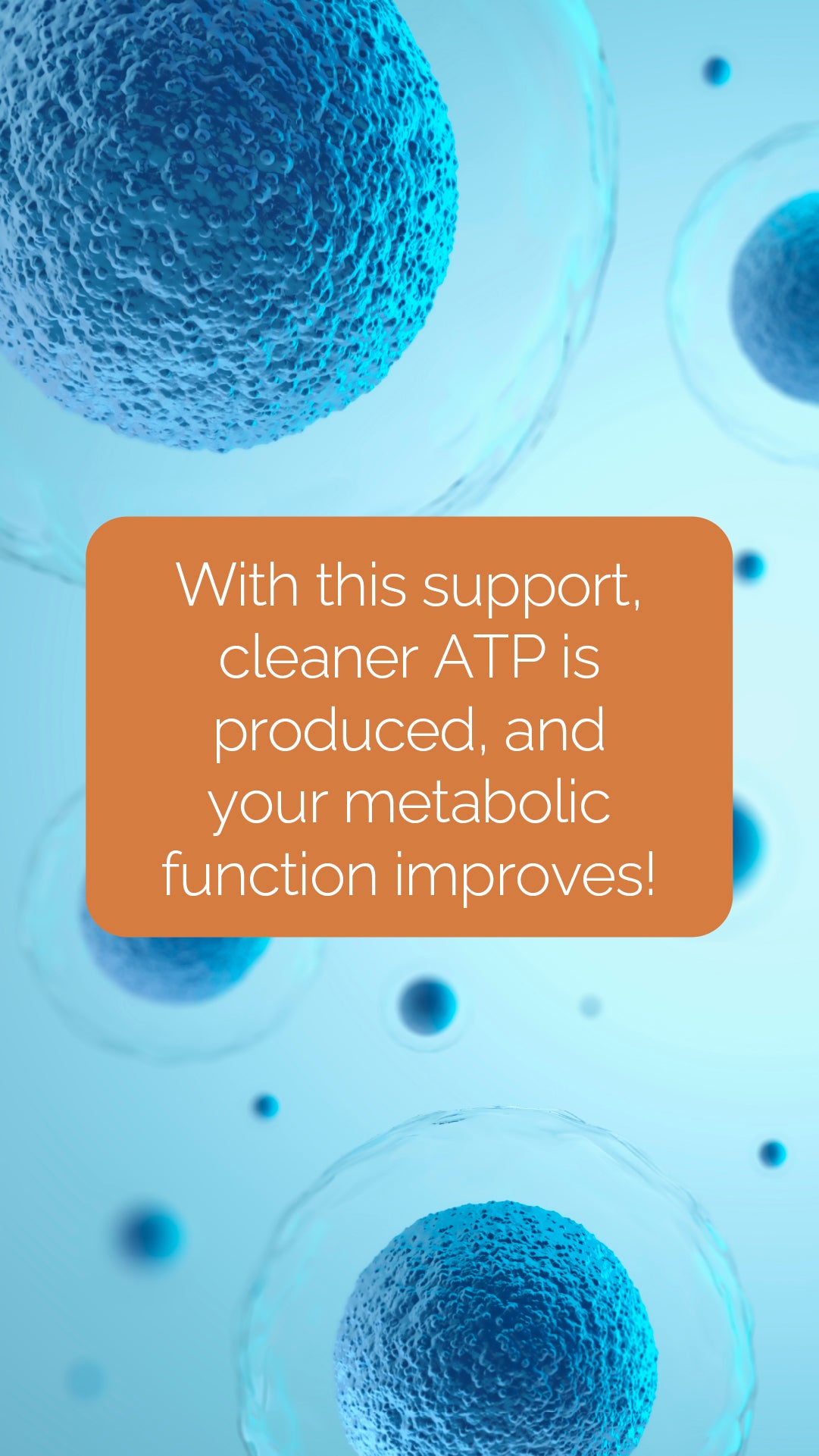 Doterra MetaPWR Mito2max zöldségkapszula